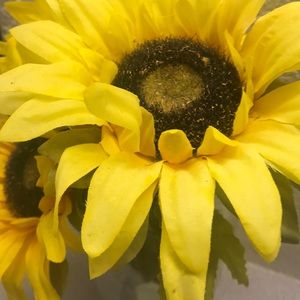 Meet your Posher, Makayla